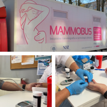 Zdjęcie nagłówkowe